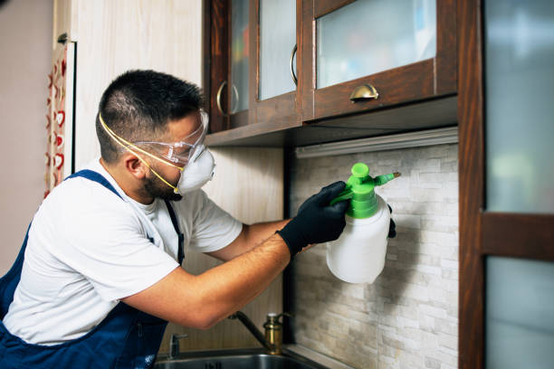 Best Mosquito Control Services  in Toccoa, GA