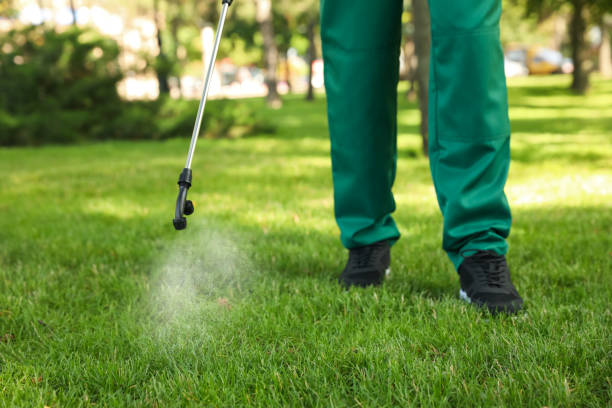 Best Mosquito Control Services  in Toccoa, GA