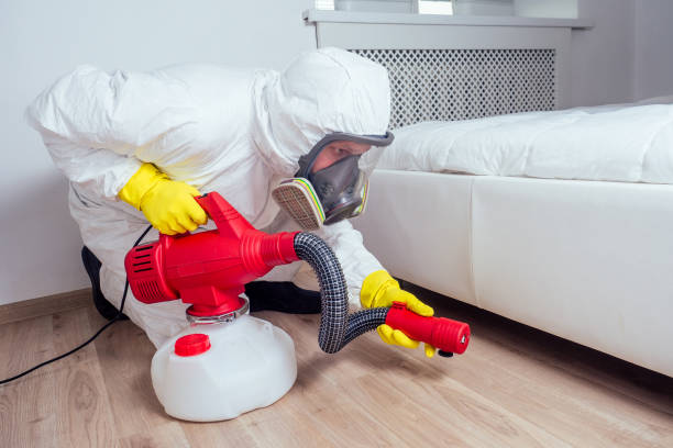 Best Wasp Removal Services  in Toccoa, GA