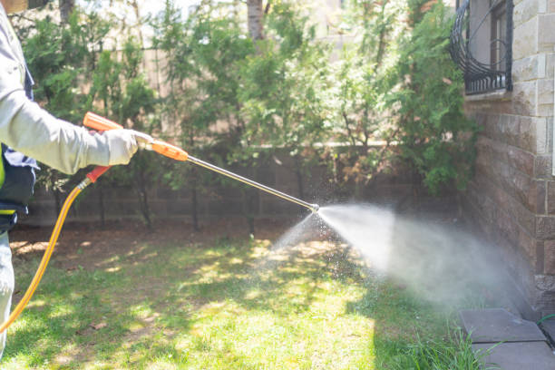 Best Best Pest Control Companies  in Toccoa, GA