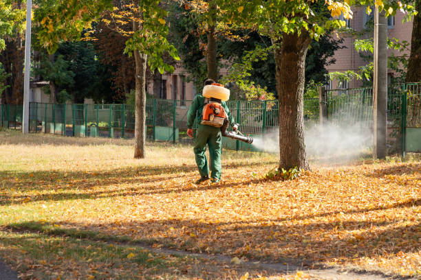 Best Commercial Pest Control Services  in Toccoa, GA