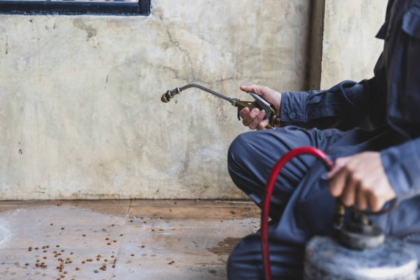 Best Best Pest Control Near Me  in Toccoa, GA