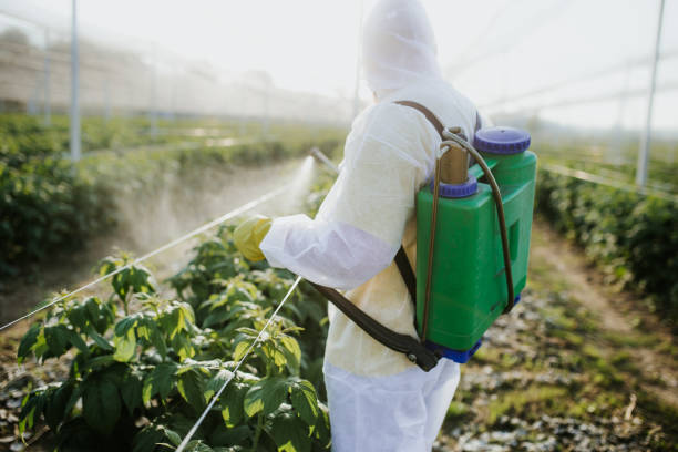 Best Affordable Pest Control Services  in Toccoa, GA